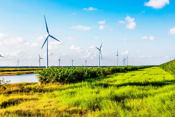 Wind generators turbines in the sea