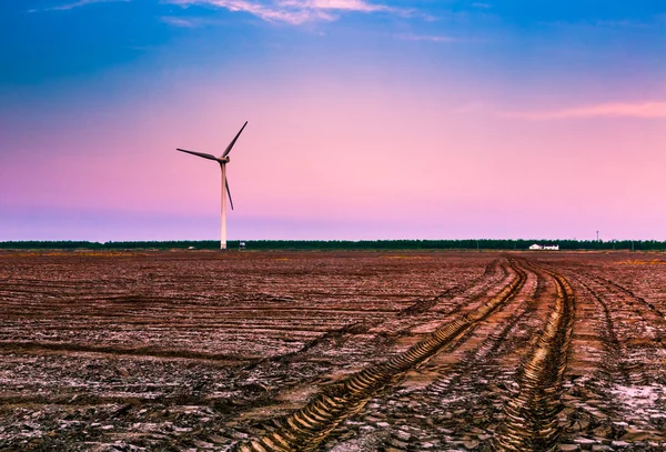 Wind generators turbines in the sea