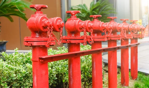 A line of red fire hydrant