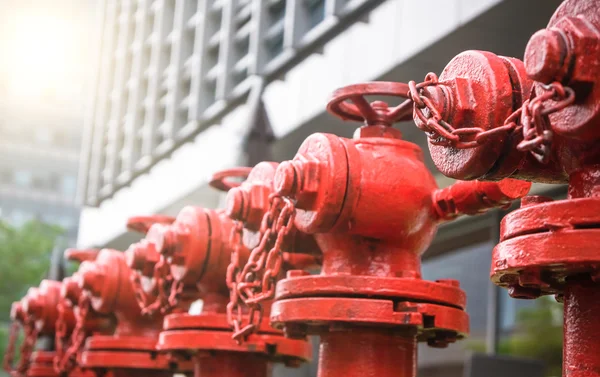 A line of red fire hydrant