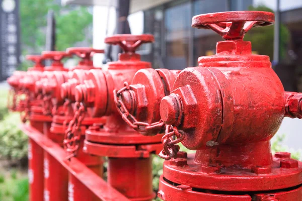 A line of red fire hydrant