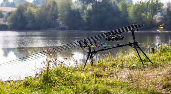 Carp spinning reel angling rods on pod standing.