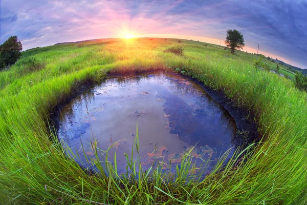 Mud-oil geyser in Carpathian Mountains