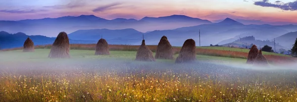 Alpine meadow with haystacks