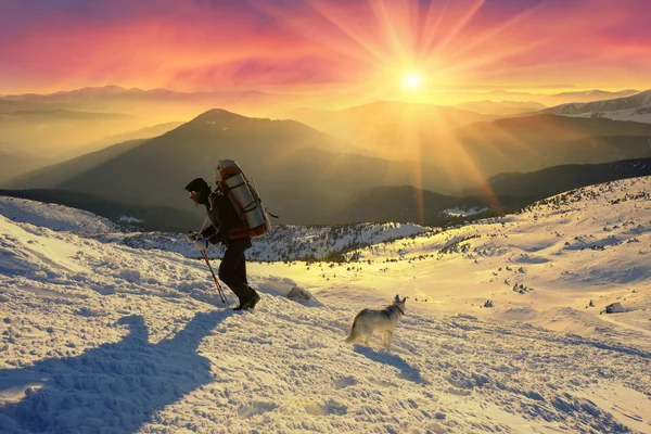 Climber and dog on beautiful peak Goverla