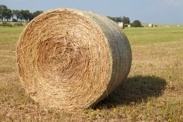 Hay Roll On A Farm