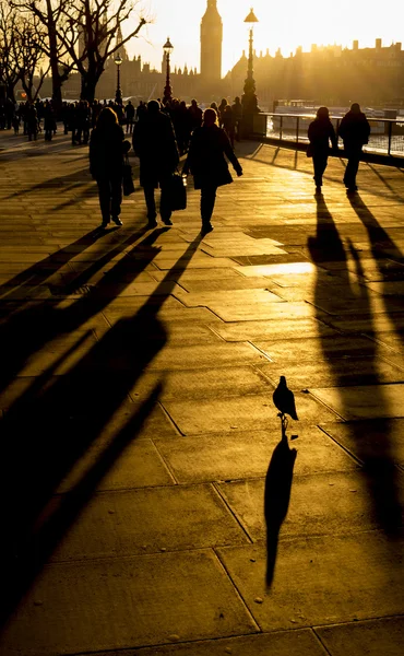 Londoners with long shadows walking in the sunset at Thames path with pigeon at foregrond and Big Ben at background, London, UK