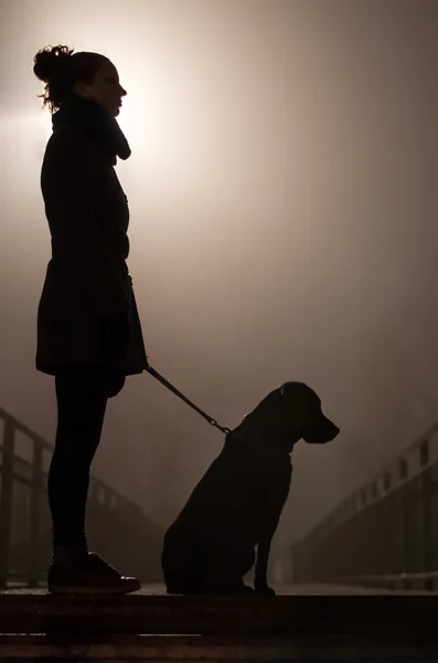 The night silhouette of a girl with dog. Side view.