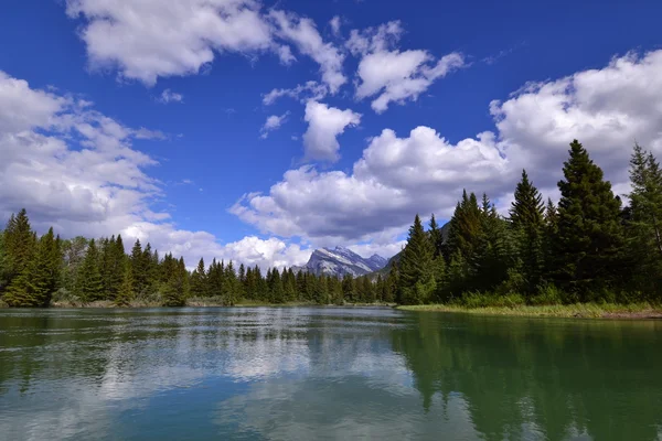 Summer on the Bow river - Banff national park