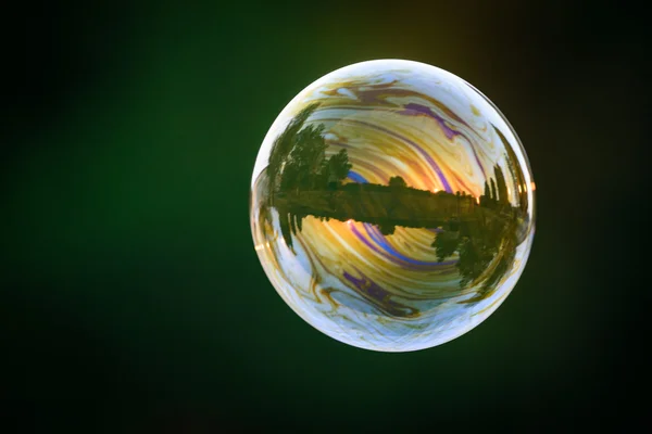 Soap bubble with nature reflection