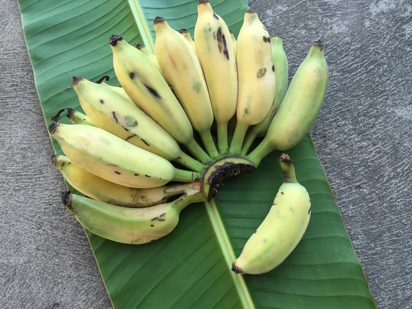 Cultivated Banana, Thai Banana and green banana leaf