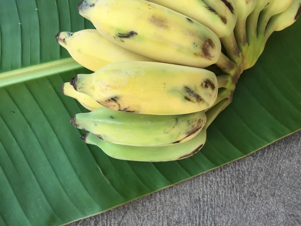 Cultivated Banana, Thai Banana and green banana leaf