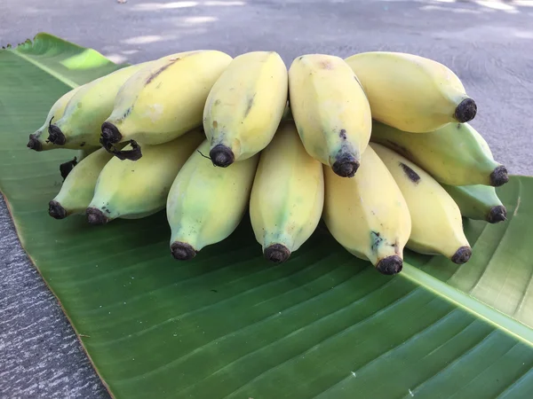 Cultivated Banana, Thai Banana and green banana leaf