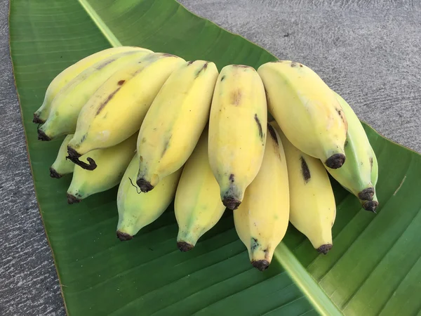 Cultivated Banana, Thai Banana and green banana leaf