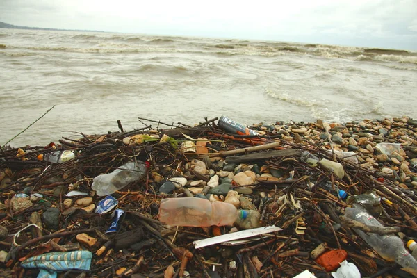 Pollution of the marine shore
