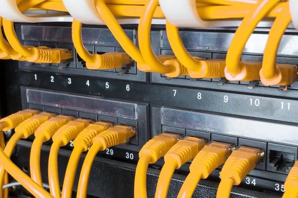 Close up of yellow network cables connected to switch