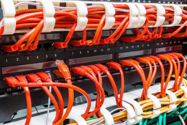 Close up of red network cables connected to switch