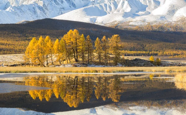 Reflection of trees and mountains in the lake