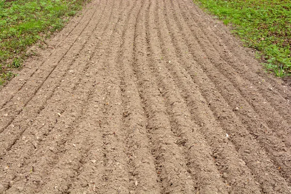 Arable land in the lane for landing