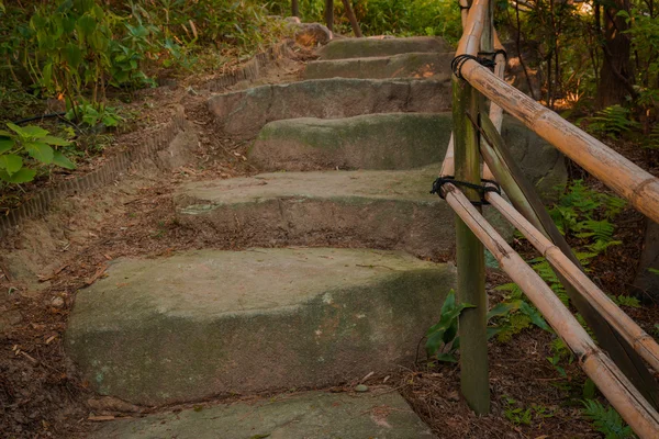 Stone stairs and bamboo grab bar in the wild.