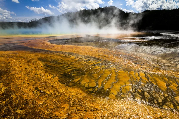 Grand Prismatic Spring Pool in Yellowstone