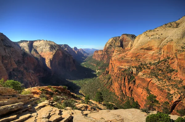 View on Zion National Park from Angels landing point