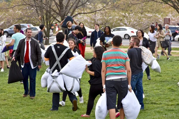 Group pillow fight in DC