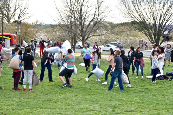 Group pillow fight in DC