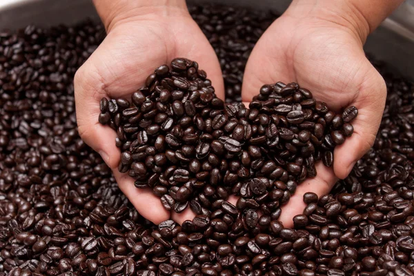 Roast Coffee bean show by human palm