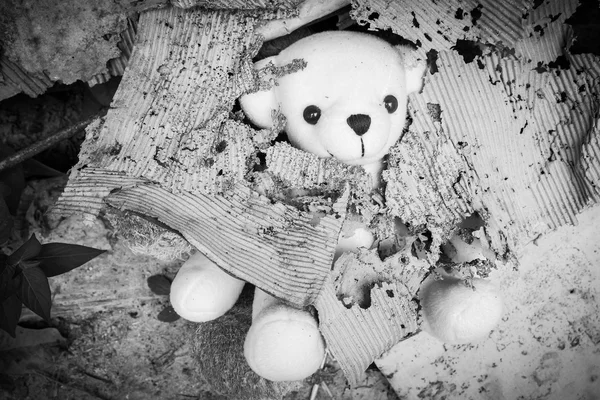 Old teddy bear abandoned piles of paper,black and white tone