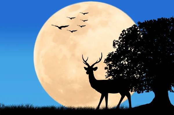 Silhouettes of deer on full moon and eagle fly on sky background