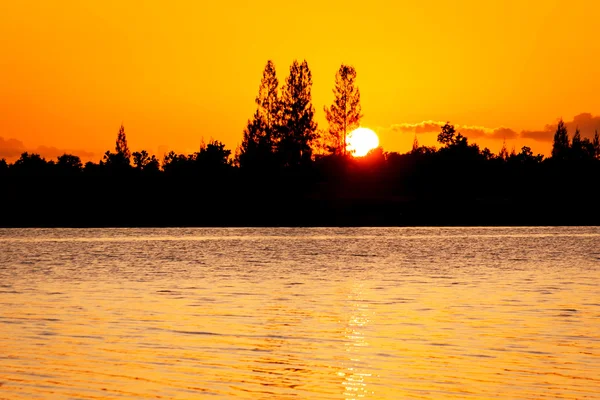 Nature orange sunset at the river