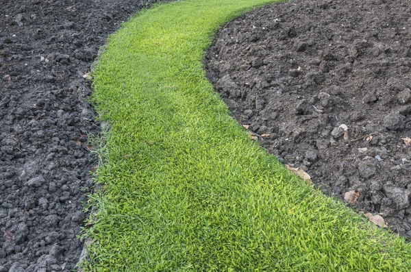 Green grass path with soil background