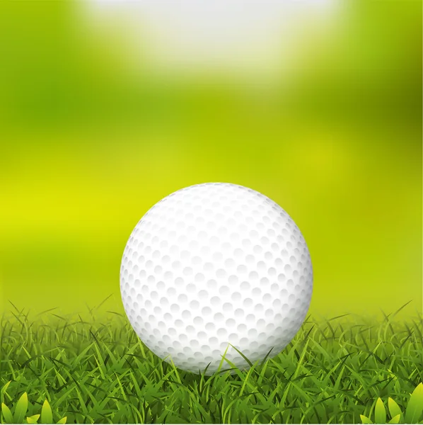 Golf  Vector Concept Golf Tournament World