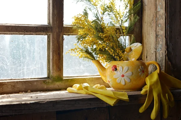 Yellow keramicheky tea with flowers mimosa stands on the windowsill .