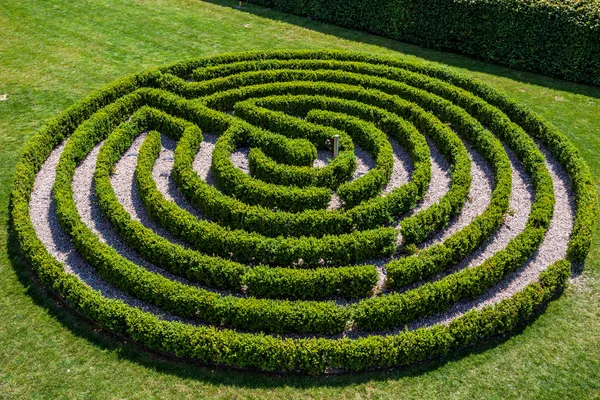 Green bushes labyrinth.