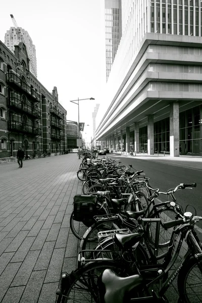 Bicycle parking in the center of Rotterdam