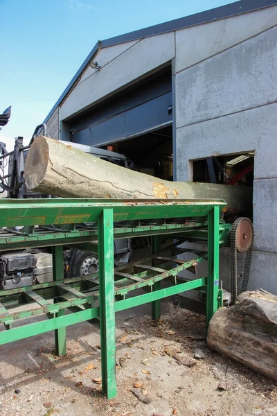 Tree trunk entering in a sawmill