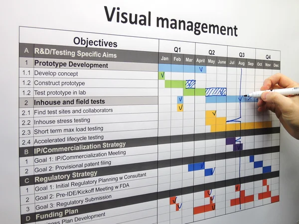 Updating the project plan using visual management