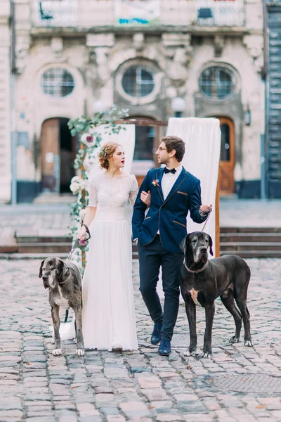 Gorgeous blond bride and handsome groom walking with their  dogs on streets of ancient european city Lviv