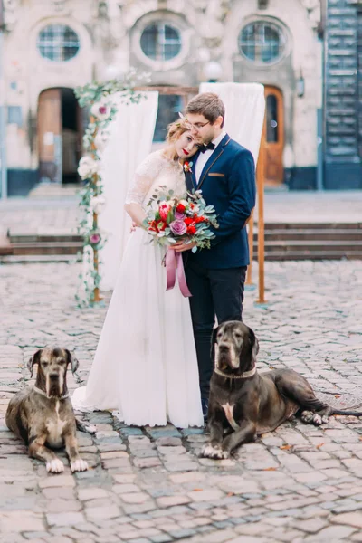 Gorgeous blond bride puts her beautiful head on shoulder of her groom with their dog pets on foreground