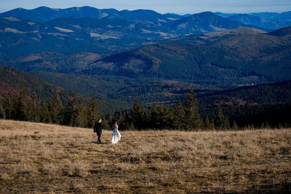 Wedding couple walking on the field. Fascinating mountain landscape background