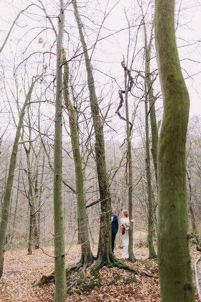 Happy young bride and groom walking among the trees in  autumn forest.