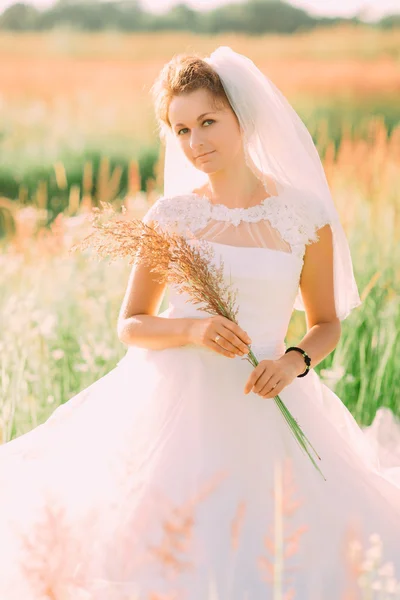 Beautiful bride wearing white dress and veil holding high dry ears in field