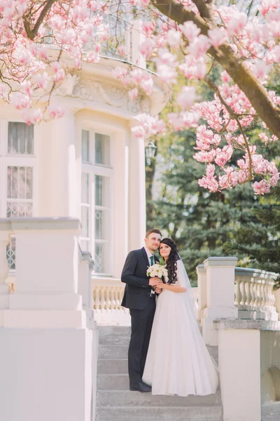 Bride and groom holding each other on stairs under blossoming magnolia tree. Vintage building at background
