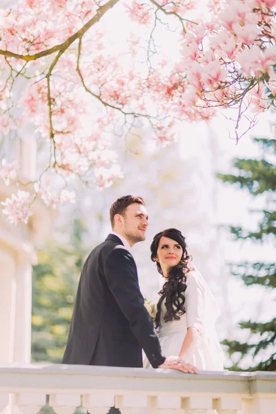 Charming bride and handsome groom under blossoming magnolia tree, leaning on antique baluster