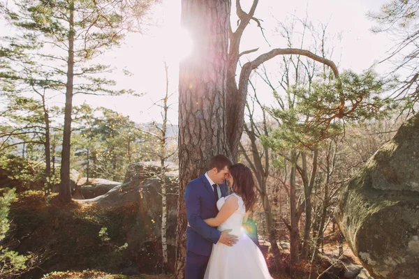 Groom is gently holding his new wife standing under tree. Mountain landscape as backround