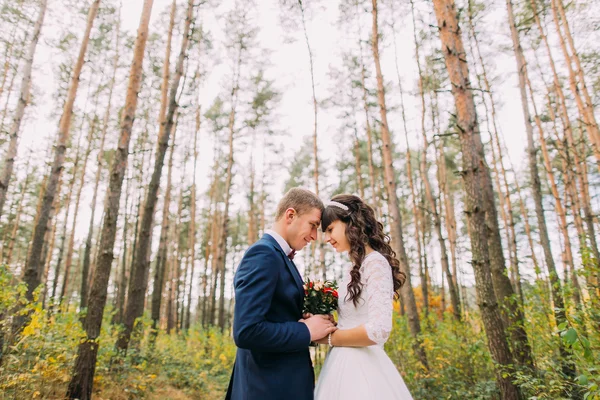 Happy newlywed bride and groom holding hands in the autumn pine forest
