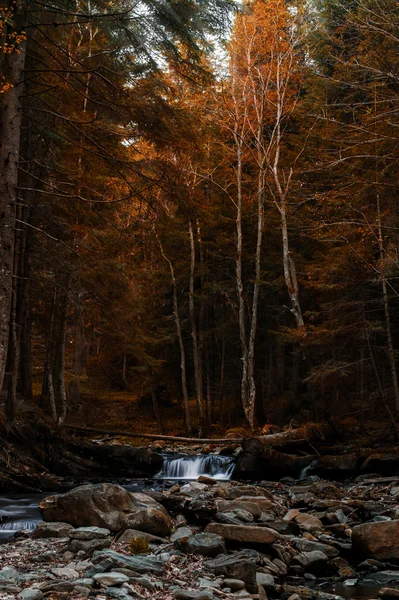 Cascade falls over mossy rocks in Carpathian mountains on autumn woods background