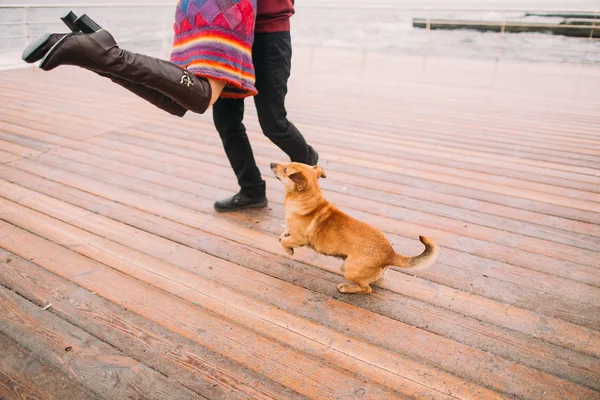 Young happy couple walking with dog and having fun on the rainy berth in autumn. Sea background